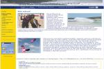 
..Cursos de kite en Tarifa						